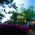 Outdoors view