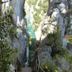 Attractions