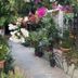 Outdoors view