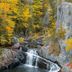 Attractions