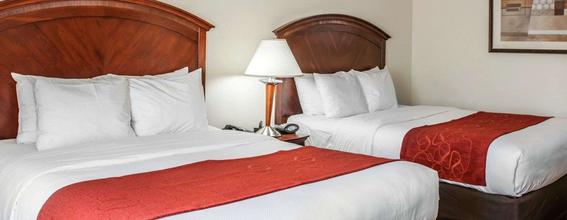 Comfort Suites Near Indianapolis Airport In Indianapolis United