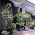 Outdoors view