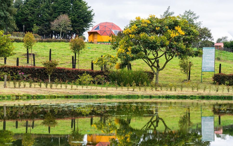 Outdoors view Photo