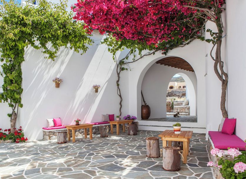 Patio Photo