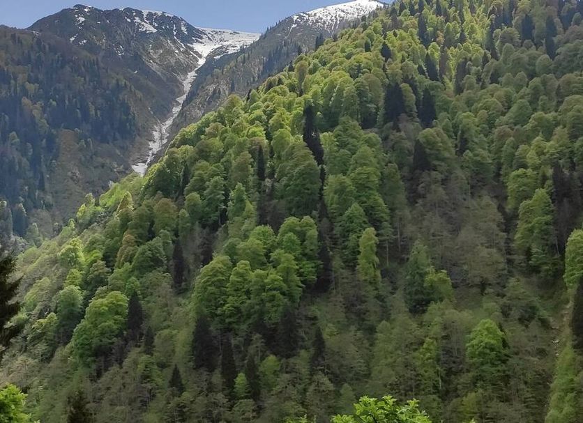 Outdoors view Photo