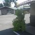 Outdoors view