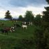 Outdoors view